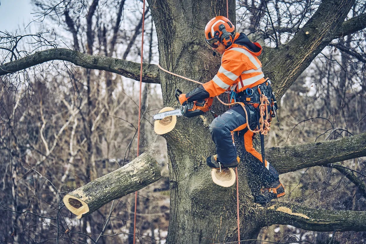 f59f3d0f-9c20-4e1d-7079-08dd572bff8a